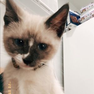 Meet your Posher, Leann